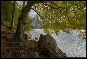 Leopoldsteinersee.3.n