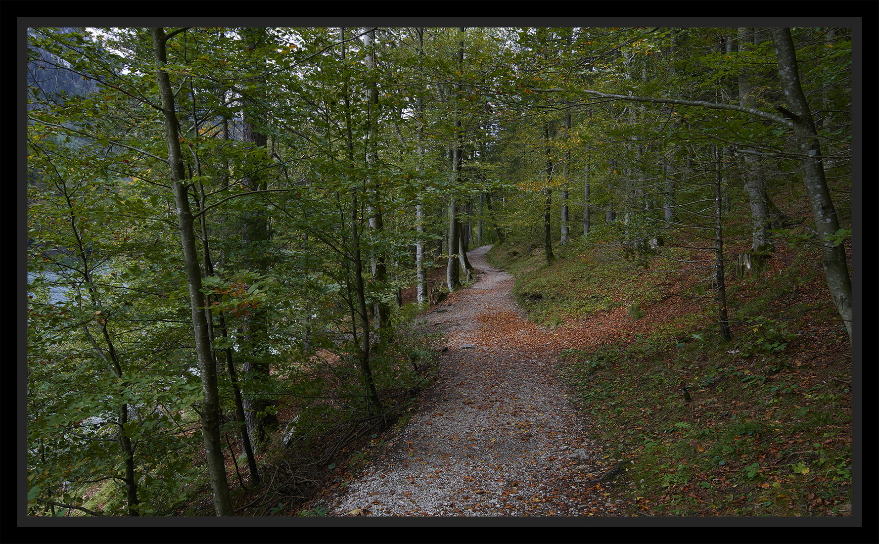 Leopoldsteinersee.5