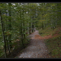 Leopoldsteinersee.5.jpg