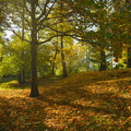 Stadtpark.web.1