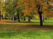 Stadtpark Knittelfeld.2