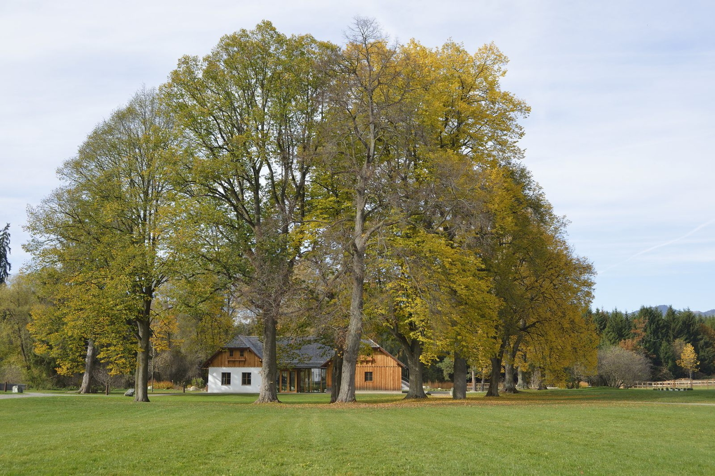 Teehaus.total